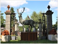 Kapitaler Bronze Hirsch Bulle