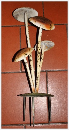 Neu eisen gruppe pilz - eisen,