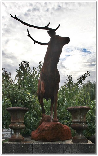 Stattlicher hirsch bulle - stattlicher,